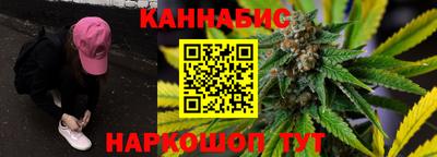 крисы Моздок