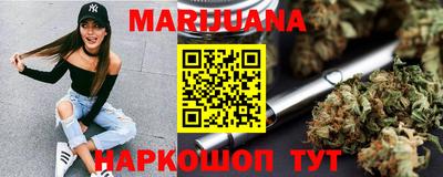 крисы Моздок