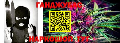 крисы Моздок